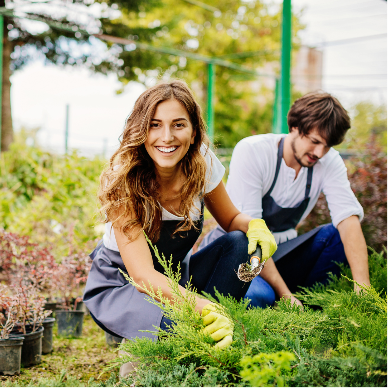 How To Set Up A Social Enterprise (CIC)